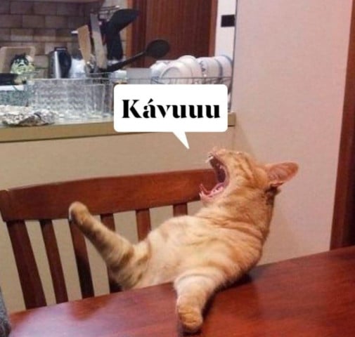 Kaviarenský povaľač in disquise